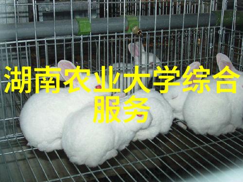 黑龙江土地肥沃气候凉爽适合种植哪些珍贵的中药材