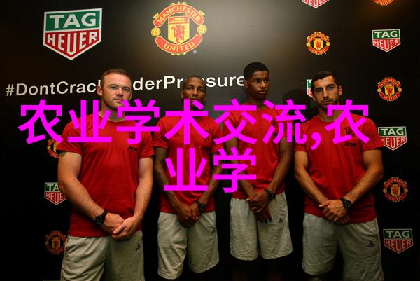 茶香缤纷探索不同茶叶的食用方法与健康功效