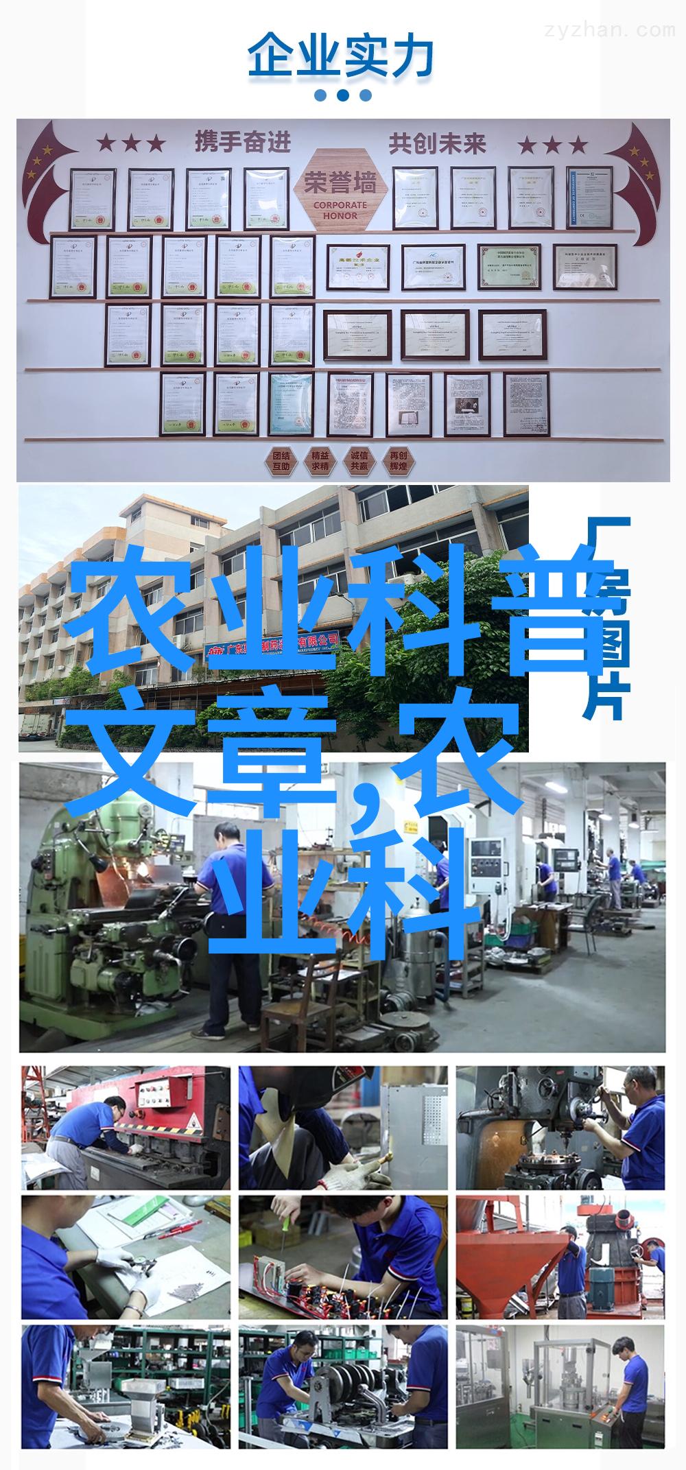 农村种植养殖业有什么项目-丰收盛宴探索农村种植养殖业的多样化发展机会