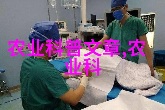 山东寿光无土栽培蔬菜技术-绿色革命探索山东寿光无土栽培蔬菜的创新之路
