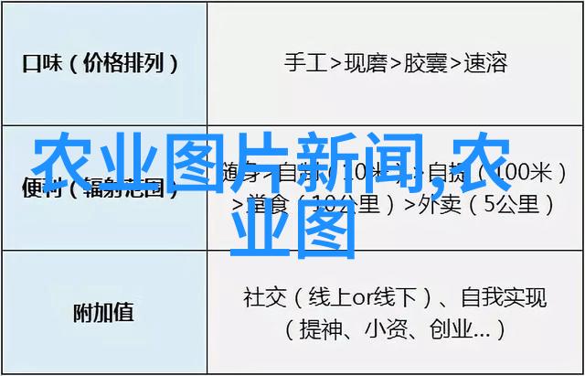 温柔之选适合女性的茶叶推荐指南