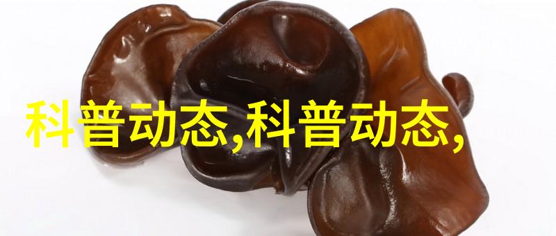 国际工商界代表