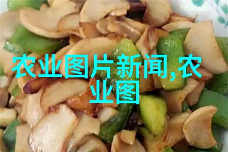 黄土高原的药用宝库山西适合种植的中药材探秘