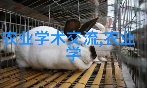 茶树品种与分类的探究