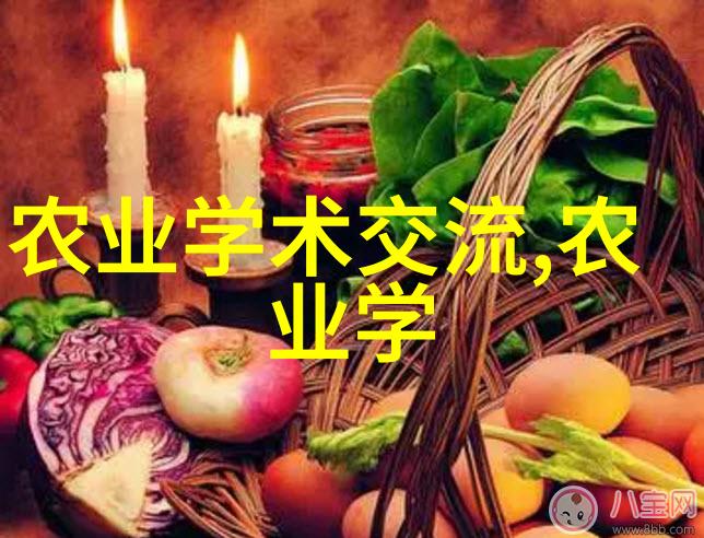 重生之铁血战将txt下载-穿越时空的战略家重生之铁血战将的传奇