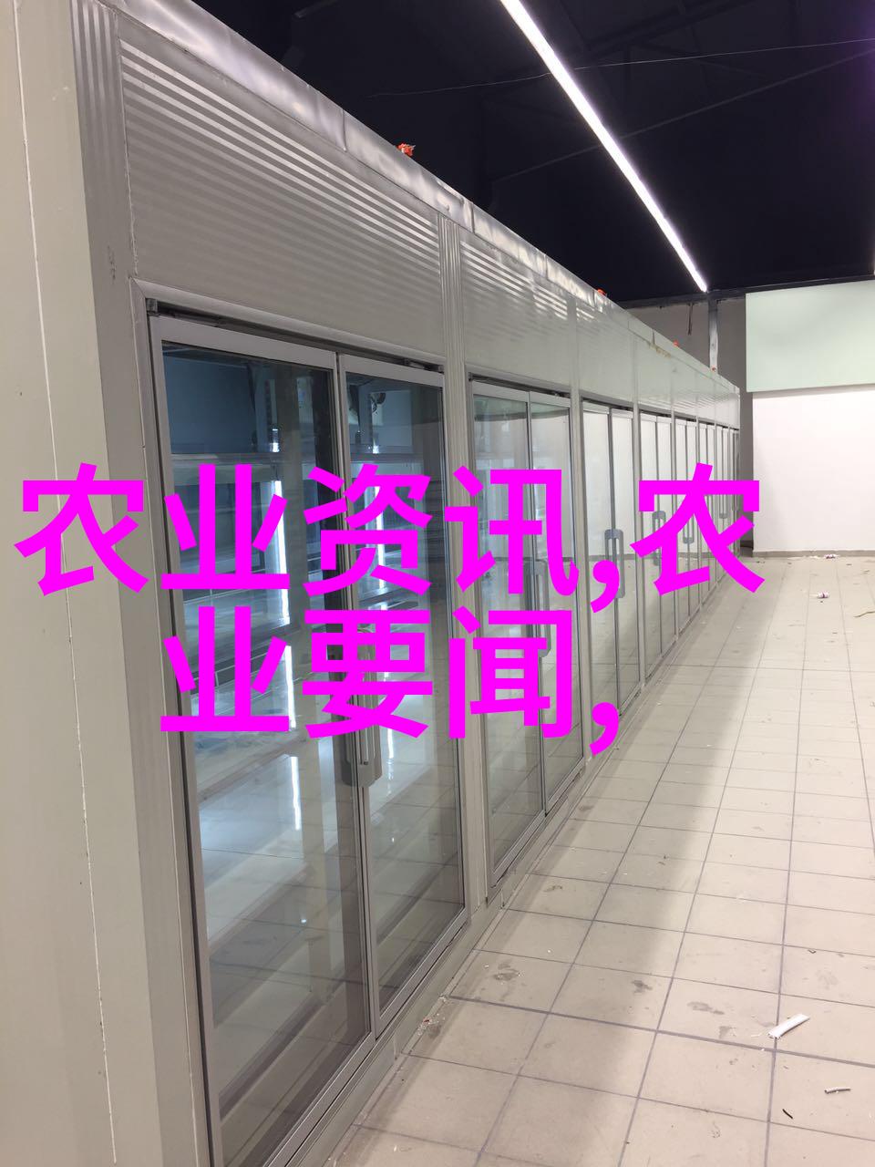 探索山东寿光无土栽培蔬菜技术背后的科学奥秘是什么