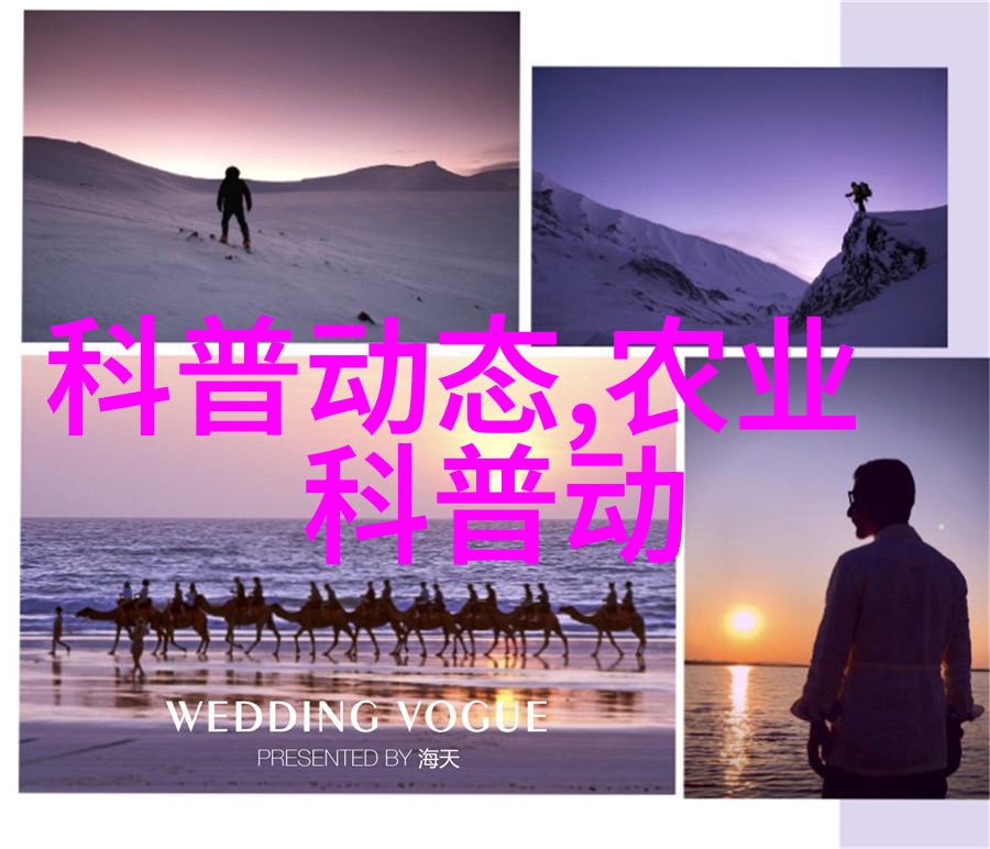 蔬菜间谍揭秘不能共生的一家亲
