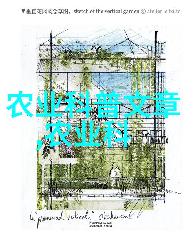 家中养什么花好养又聚财我的小窍门你要知道