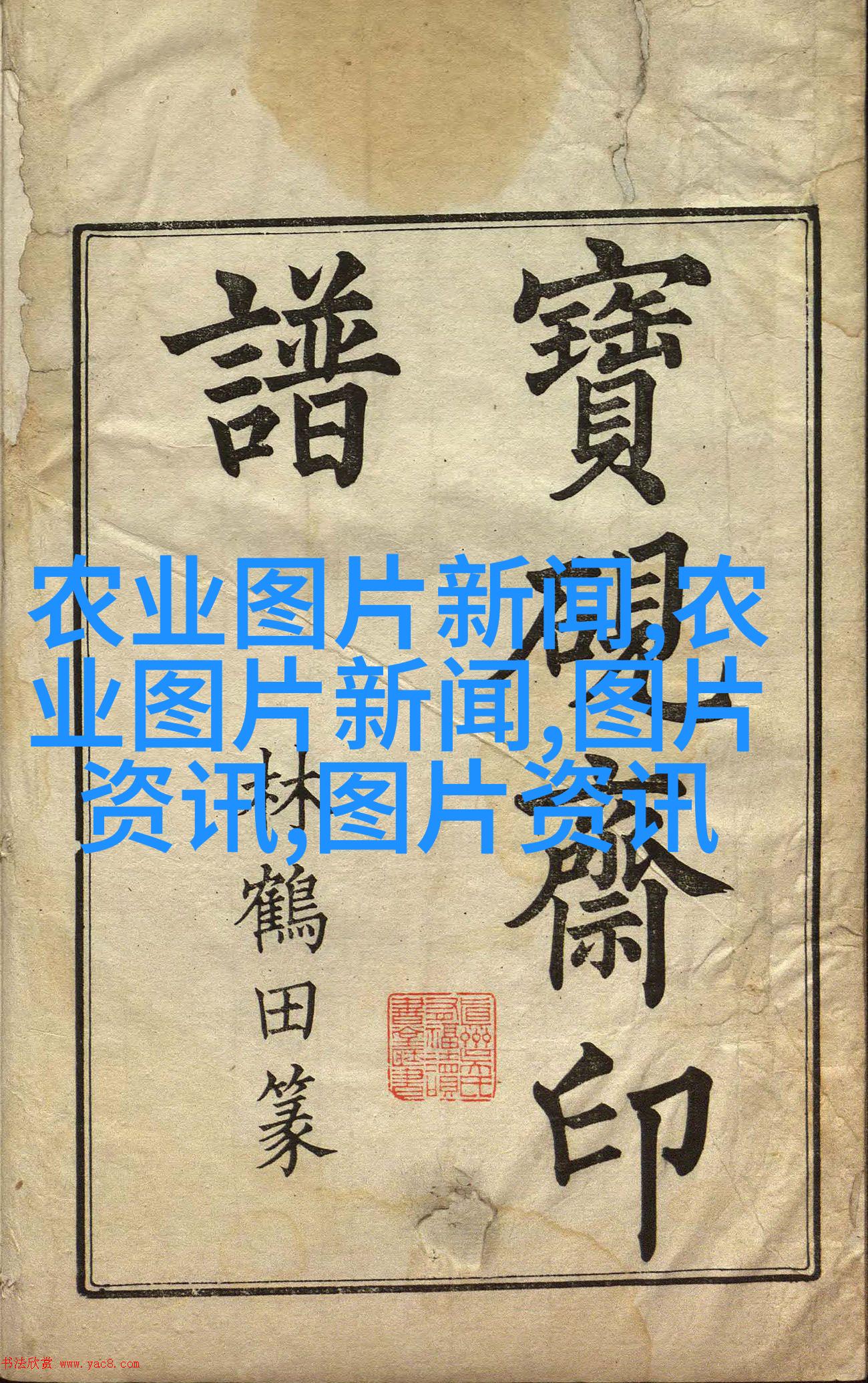 夏日绚烂