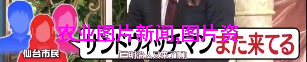四叔喂猪须遵循三个要点确保四水作饲料的质量安全