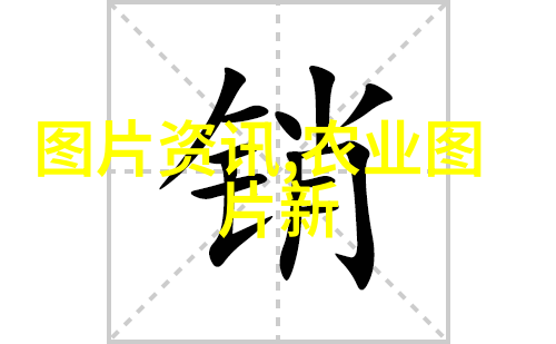 雨幕下的考驾场教练与学员的默契对话