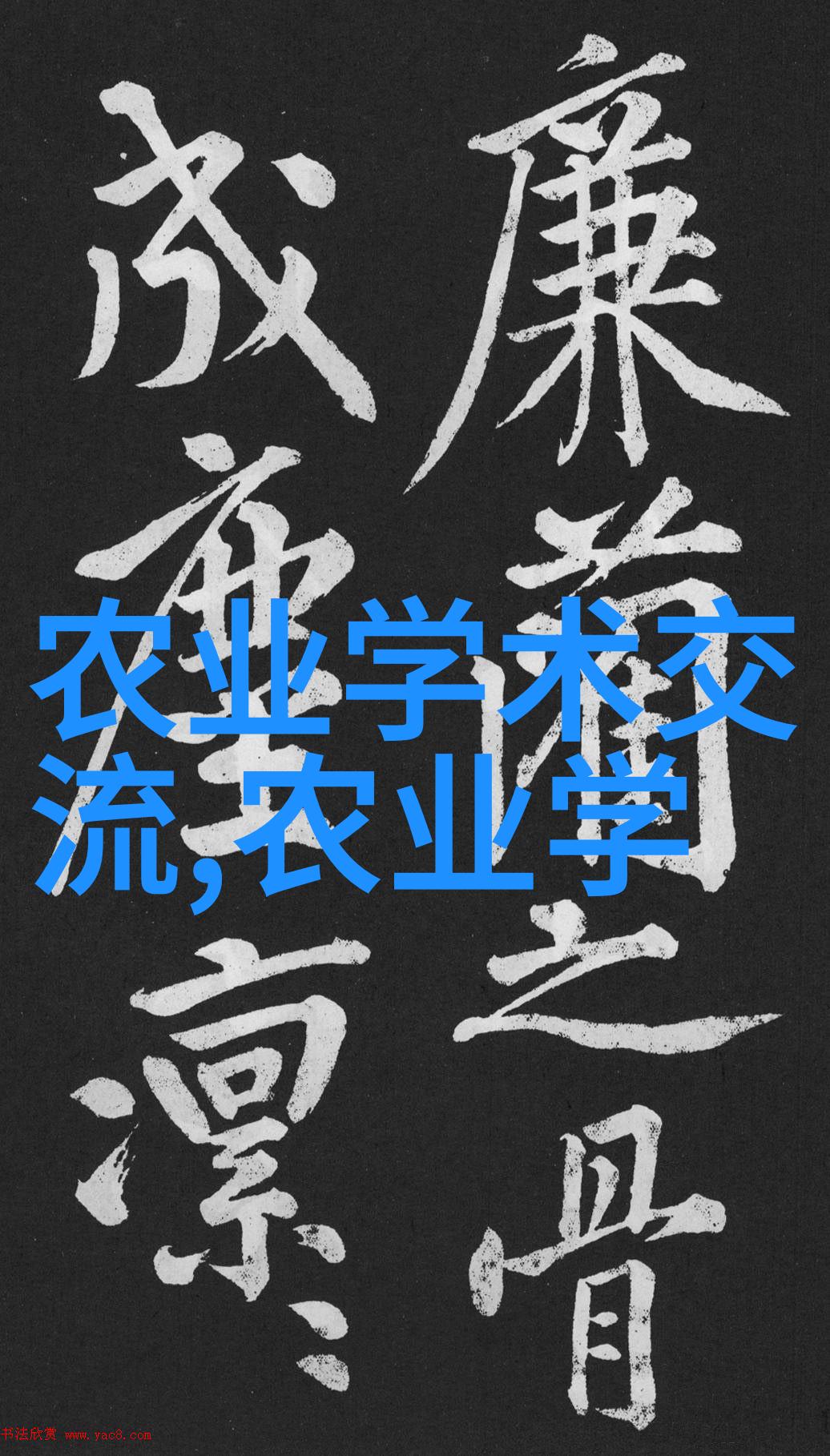 苗圃花卉基地春意盎然的植物宝库