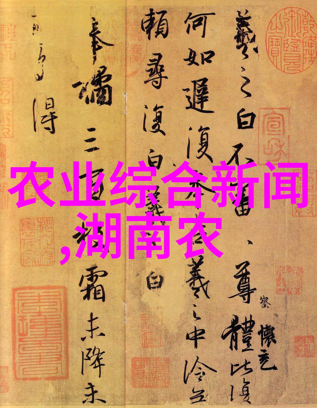金线莲种植技巧视频金线莲栽培方法详解
