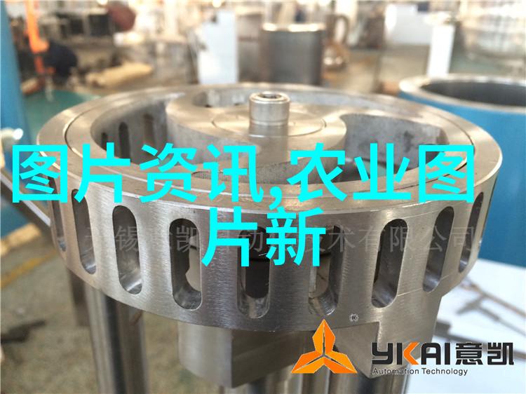 死水塘养什么鱼最好寒冷天气中罗非鱼的养殖管理是首选