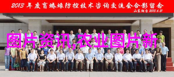 益农网-智慧时代的现代农业益农网如何提升农产品市场化运营