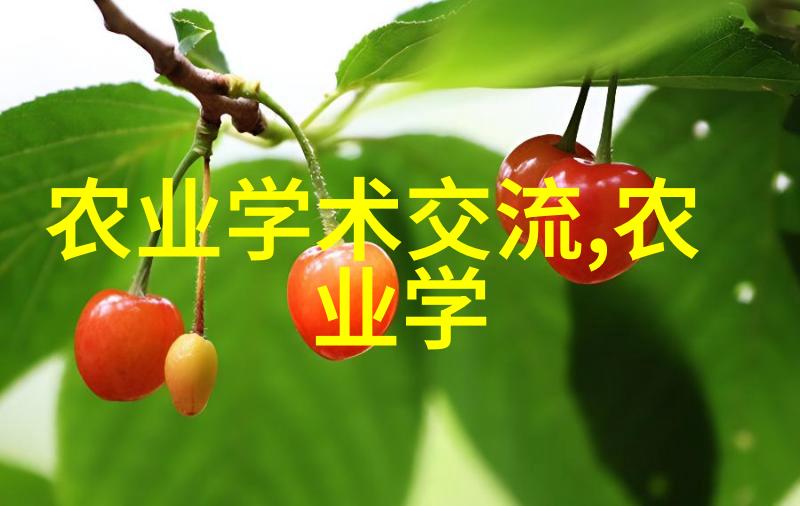 山东寿光无土栽培蔬菜技术研究与实践探究