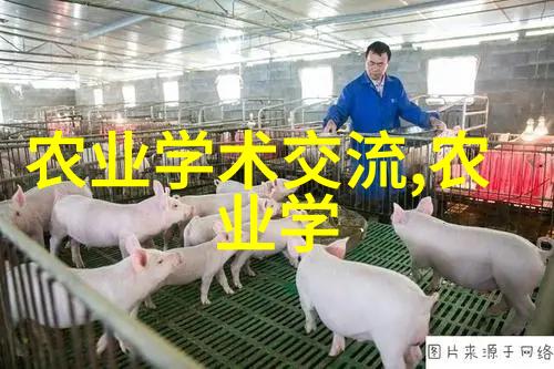 春莺啭鸣蜜姜香溢古代园林中的诗意生活