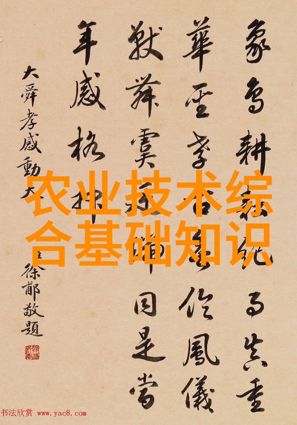 中国畜牧网官网探究奶牛营养对繁殖力的社会影响