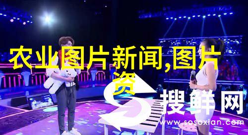 对初次尝试自行建造的大户户主来说应如何合理规划预算以避免超支