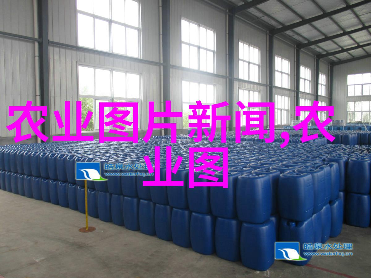 7一8月份种什么蔬菜亲测好种选