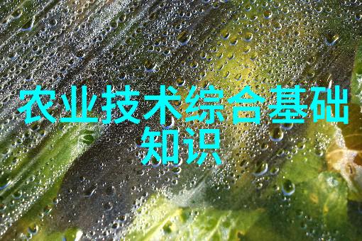 2021创业好项目投资小利润大铜钱草养出绿圆满