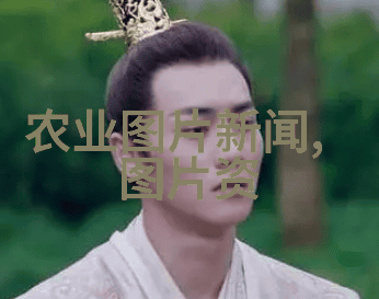 森林之心苗木树苗的秘密