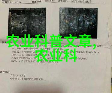 春色满园鄢陵花木网的绚烂盛放