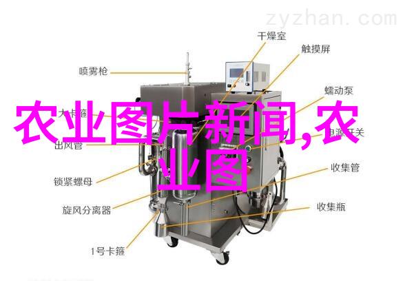 老师跳舞突然被开到最大热情音乐与精彩舞蹈的完美融合