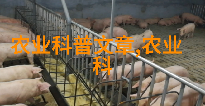 欧洲菊苣之谜追踪那片神秘的绿意