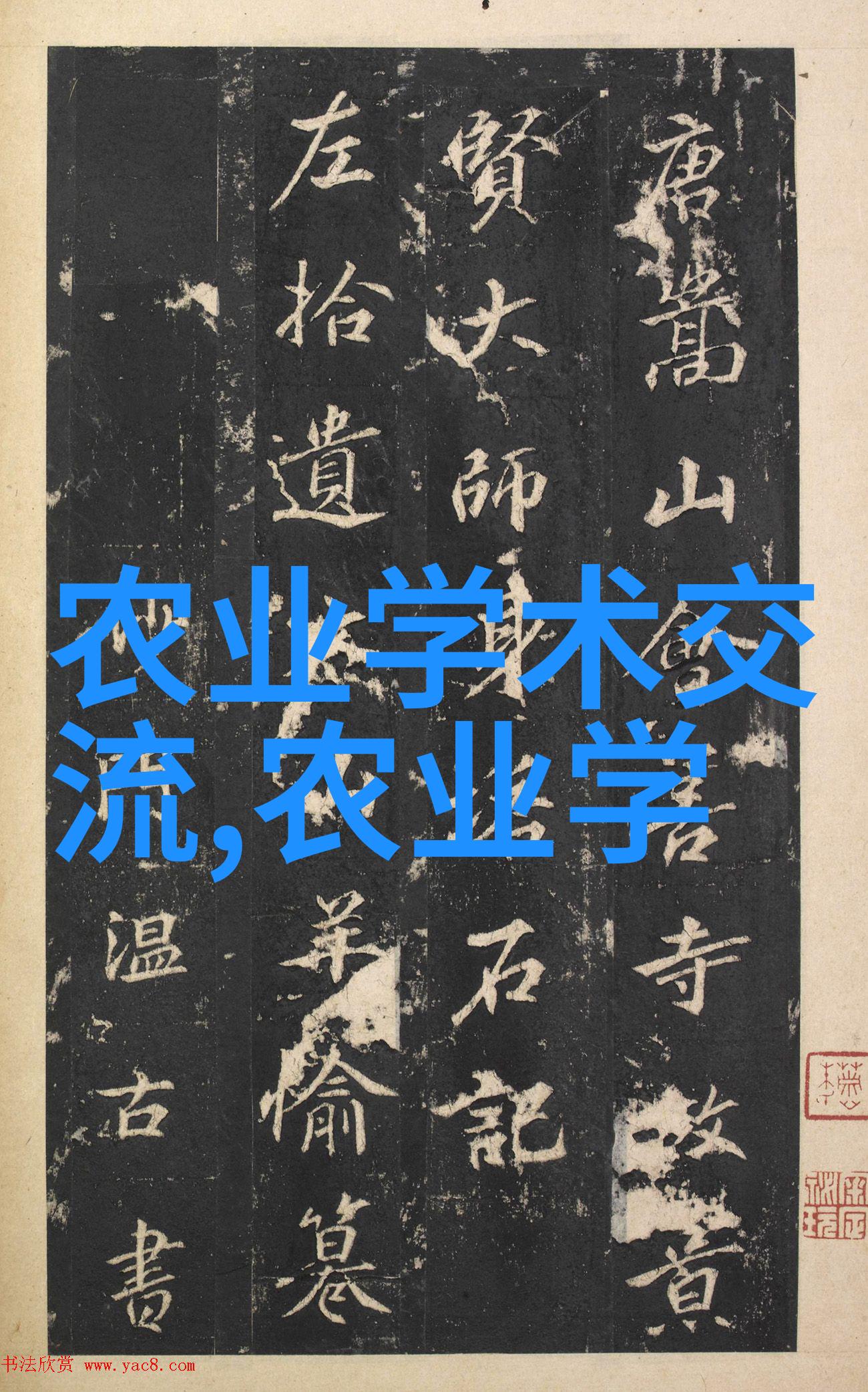 奇幻故事-一根棒棒糖的冒险放屁眼里的一天与视频世界的奇遇
