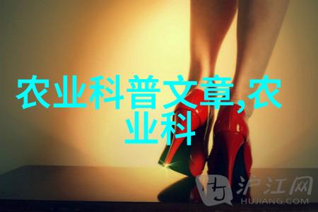 无土大棚蔬菜种植技术与流程研究创新栽培模式的探索与实践