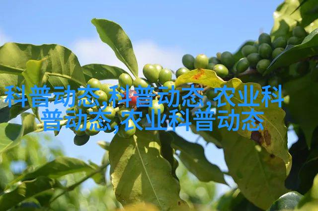 乌龙