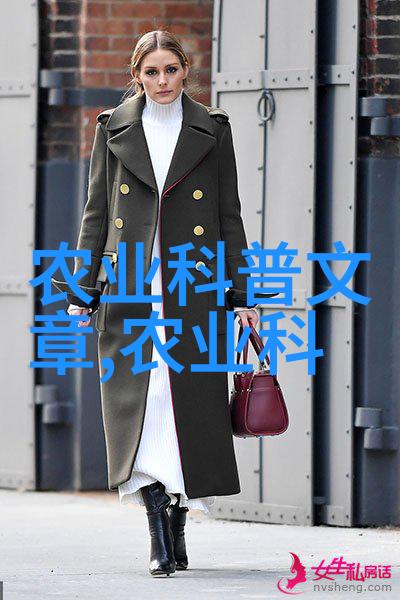 AI技术革新人脸替换白鹿被上的视频创意新纪元