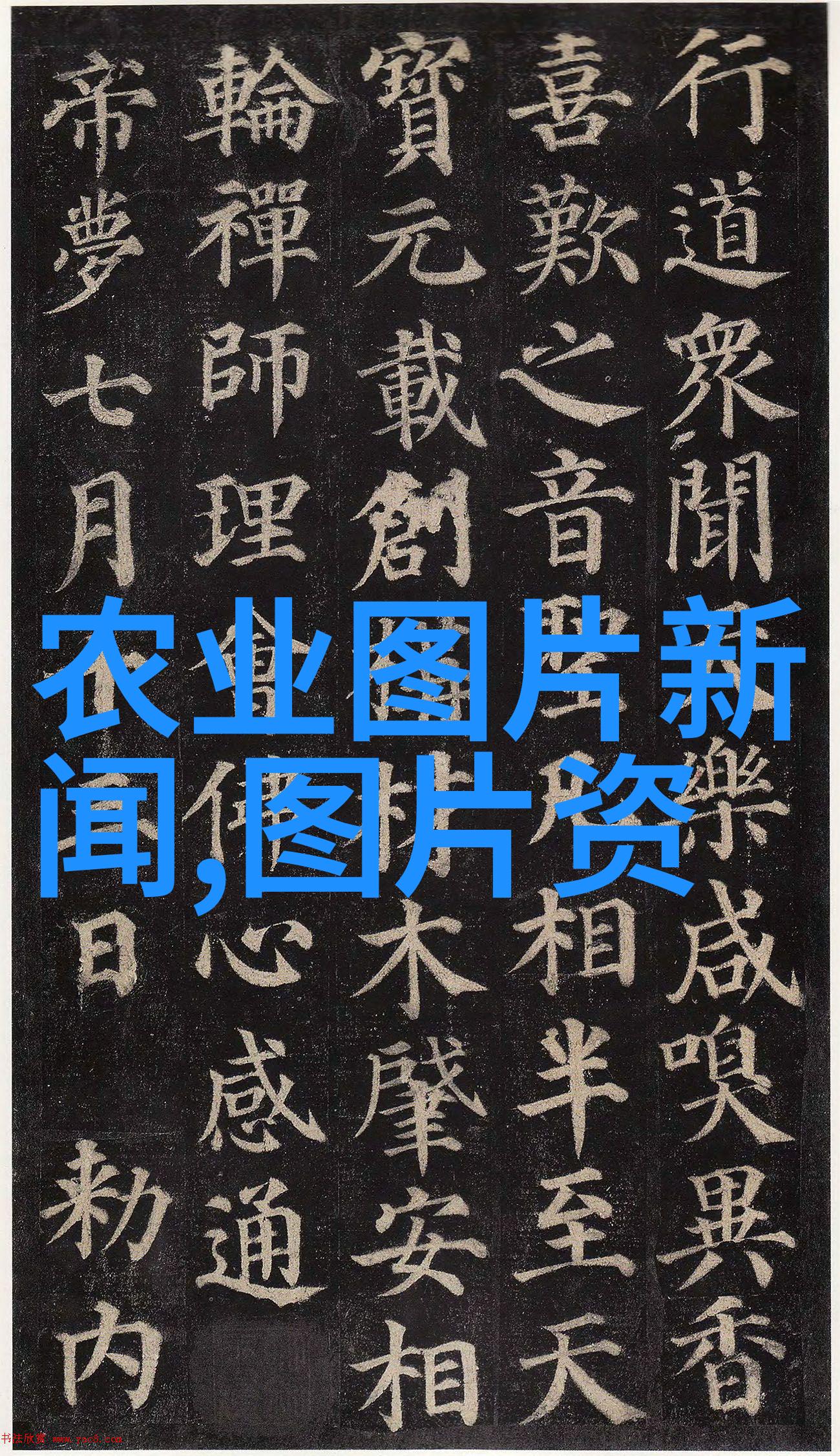 该市场提供哪些种类的苗木供消费者选择
