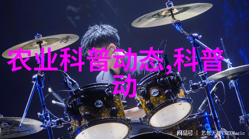 雨中绽放美人伞下的浪漫传奇