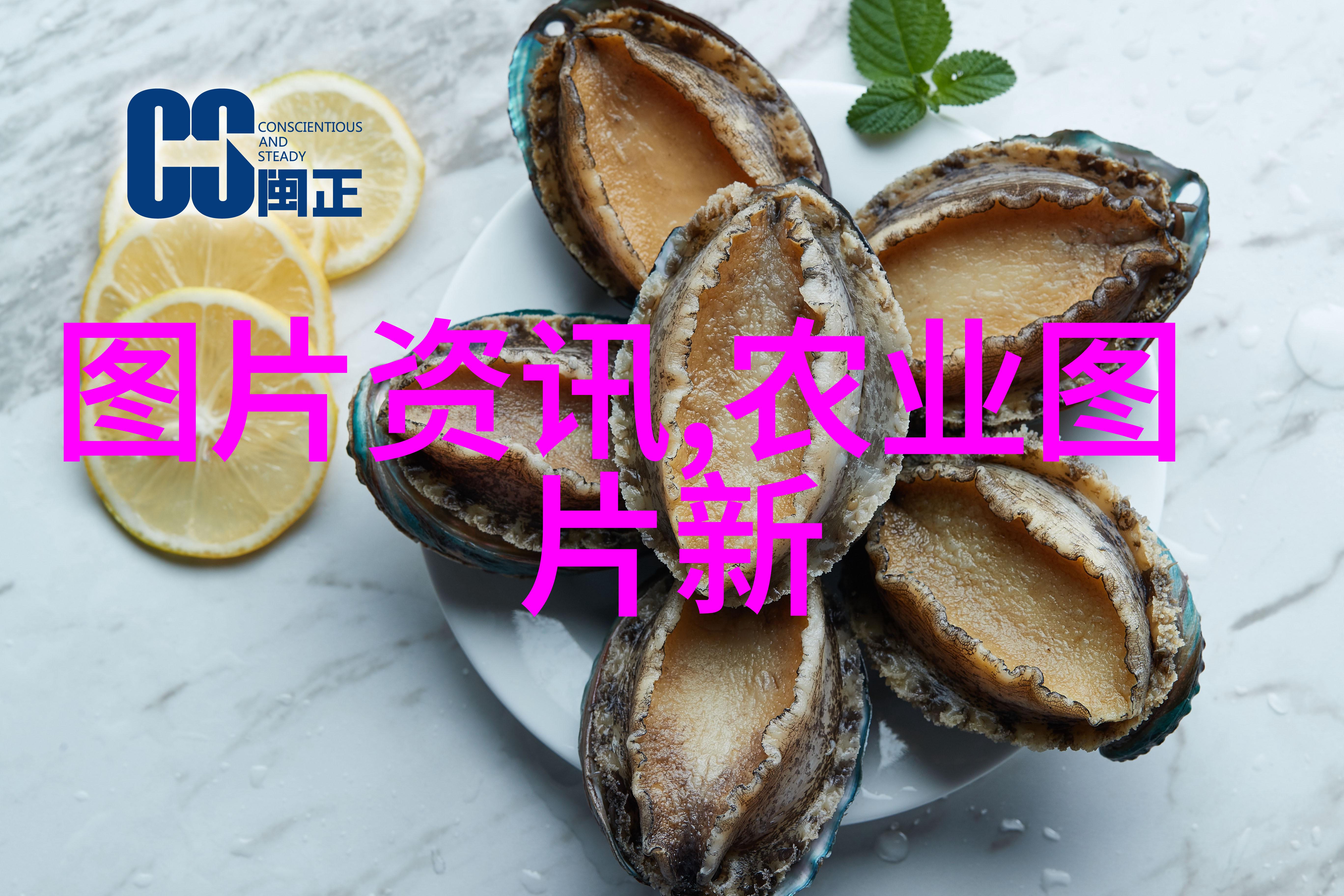 蚕豆般细致探秘胡萝卜的贮藏艺术与技巧