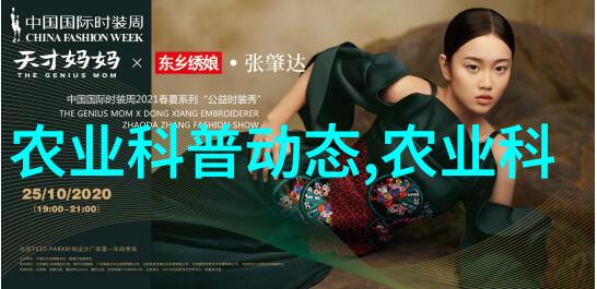 厨房中的激情交响曲公与淑婷的爱情故事