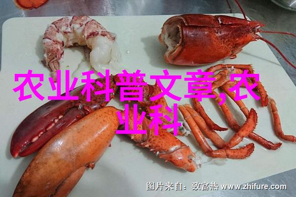 莲花之冠探寻野生金线莲的秘密