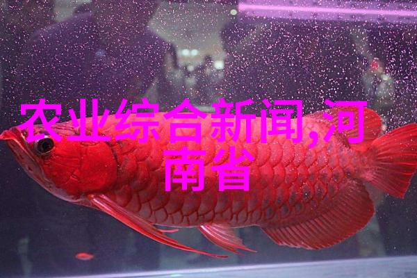 种植爱好者必备指南常见花卉种植方法大全