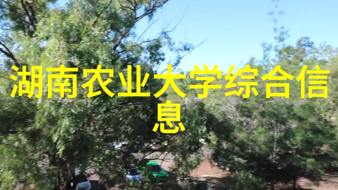 绿色循环利用秸秆打包机的创新应用与未来展望