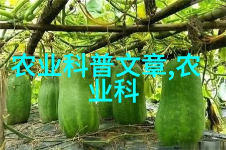 稻谷烘干机的发展历程与未来趋势