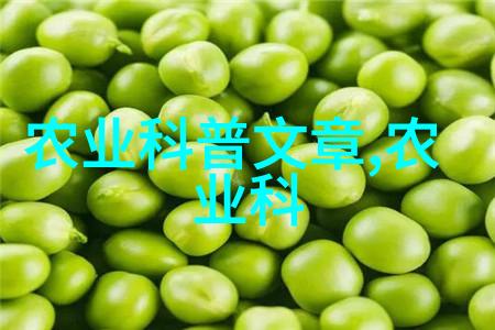香满园探秘10公分玉兰树的花语与价格