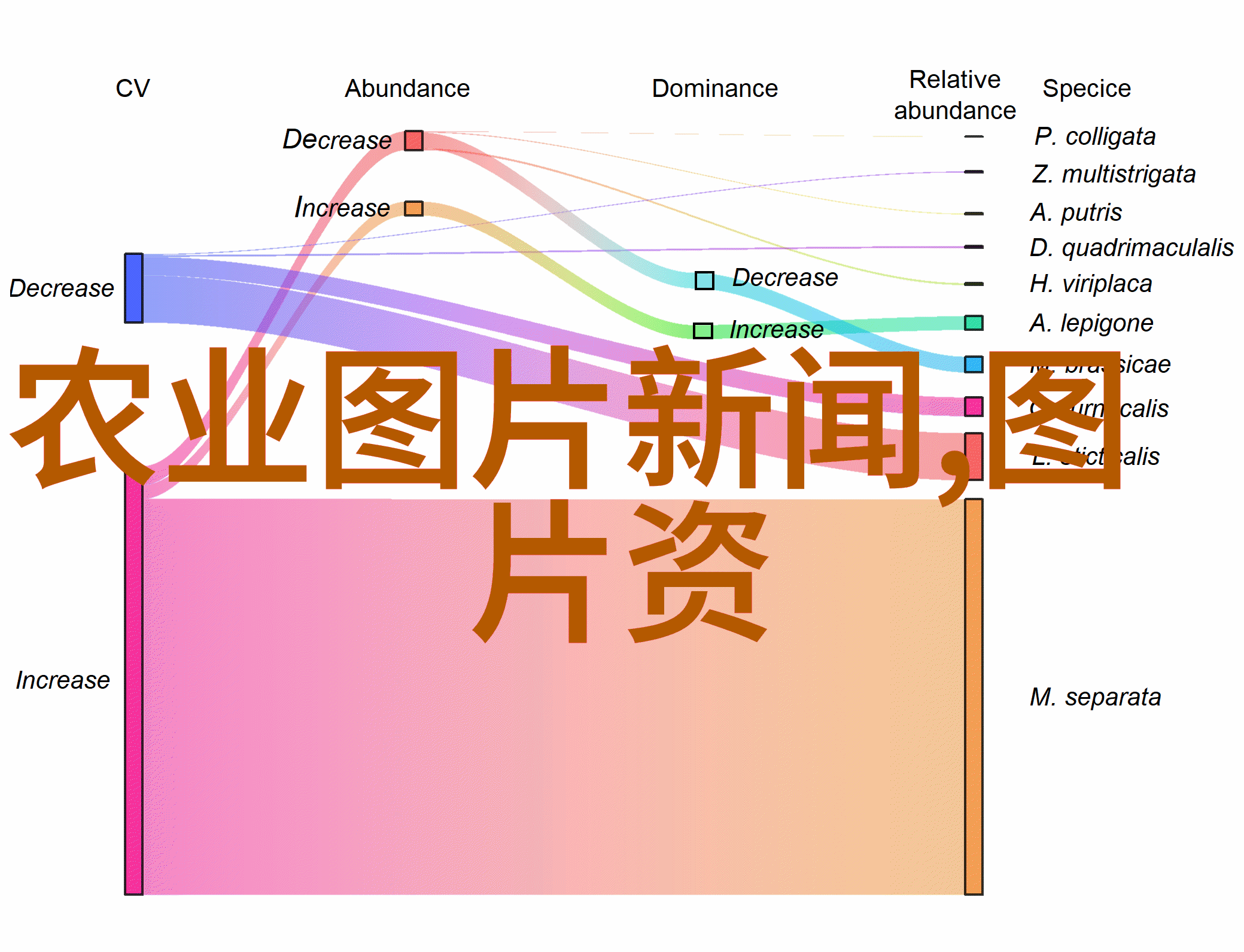 耕播收种农机作业的全方位探究