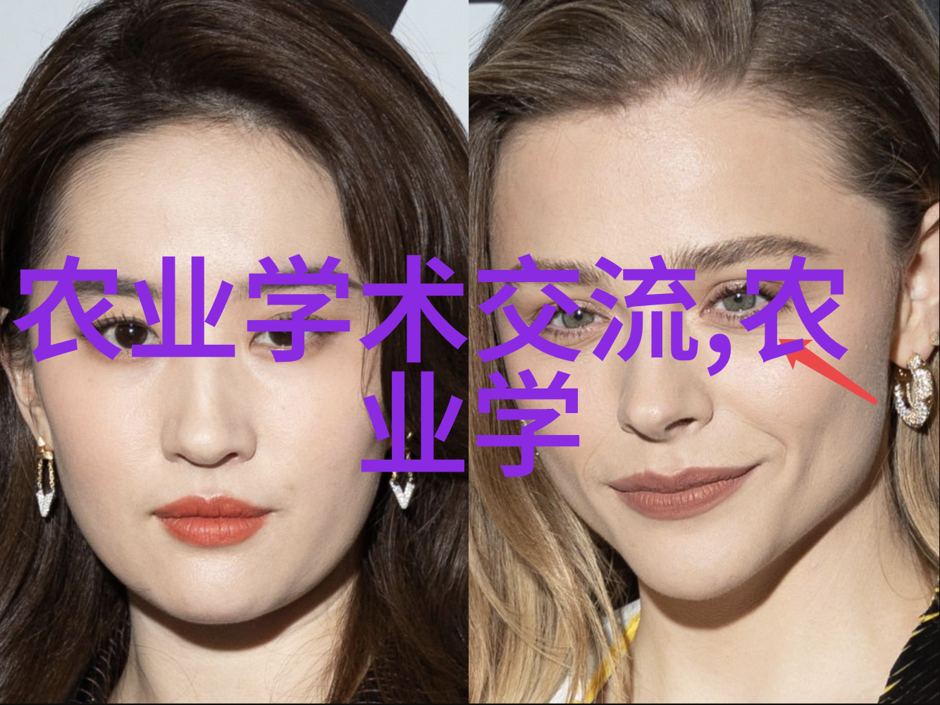 粮油作物百科谷穗之歌与油香篇章