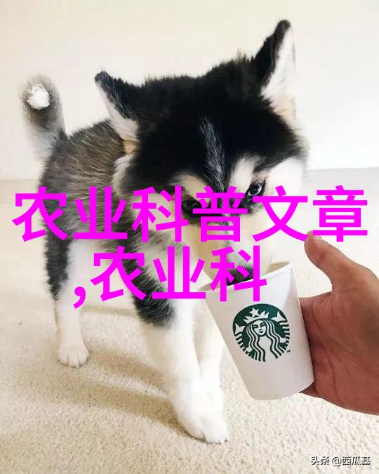 江西珍稀药材高档中草药