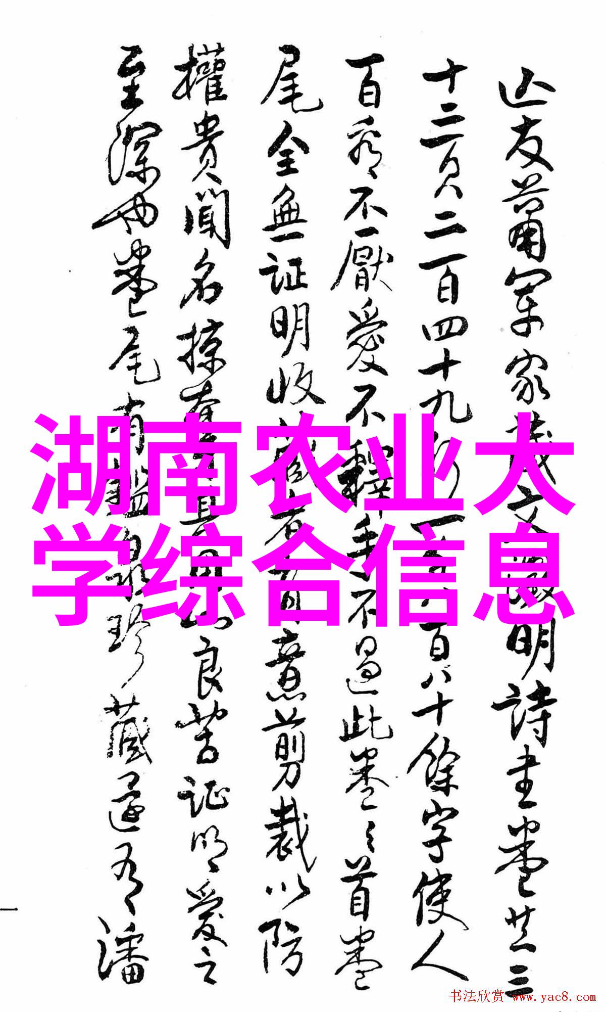 在使用前后我还需要进行哪些安全检查