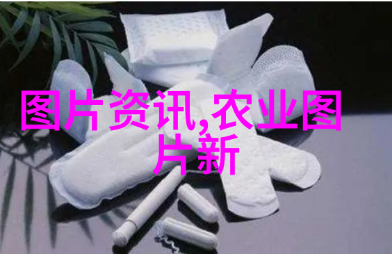 野菜大全 可食用-探索森林与田野的美味一本可食用的野菜大全
