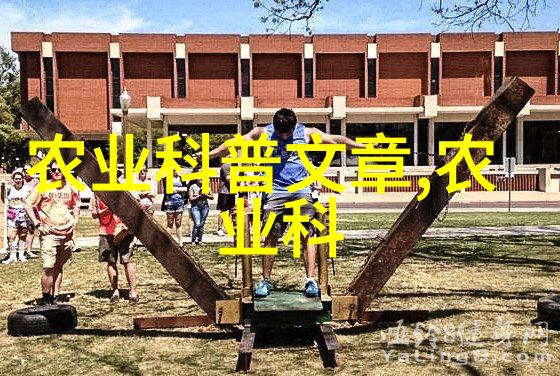 春日绽放花海中的诗意探索