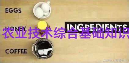 山东寿光无土栽培蔬菜技术高效节水的现代农业创新