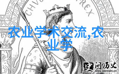 婚后试爱情感探索与关系重建